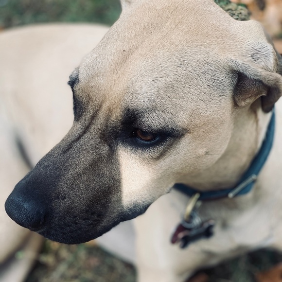 Meet your Posher, Emily - Picture 1 of 1